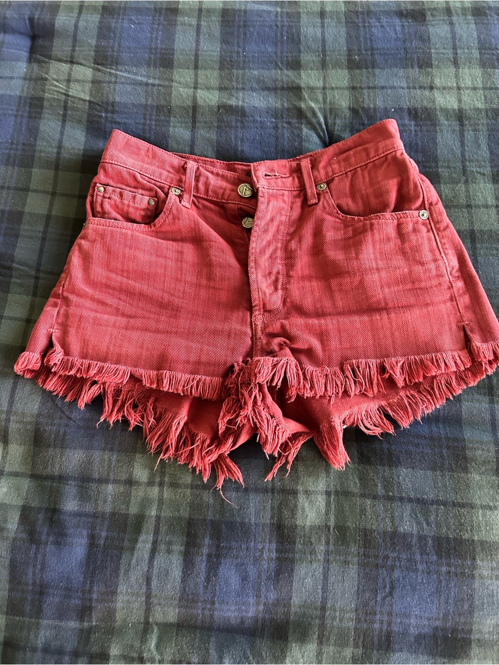 Citizens of Humanity Shorts